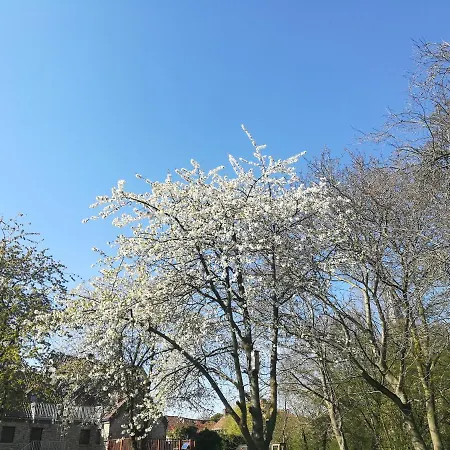 De Dubbelmolen 3*