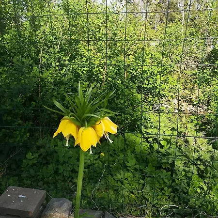 De Dubbelmolen 3*
