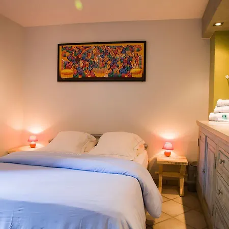 Bed & Breakfast De Dubbelmolen Tongeren